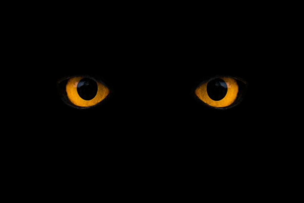 olhos